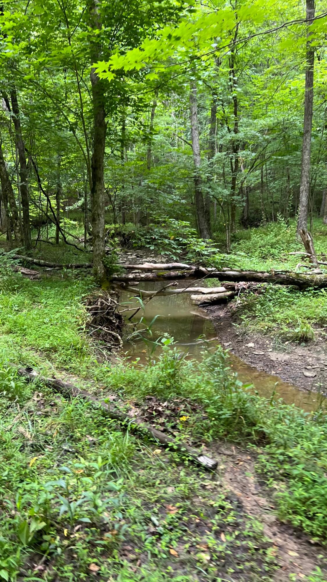 10885 B Napoleon-Zion Station Road Dry Ridge, KY 41035 - Photo 2 of 43