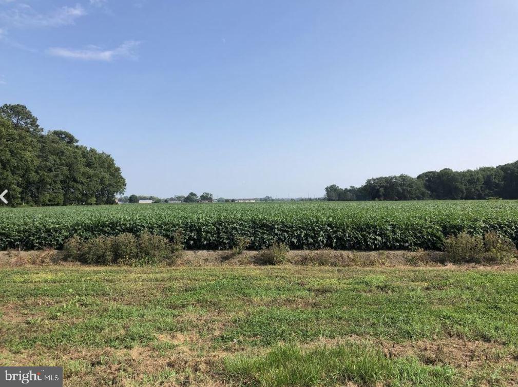 10819 Jerusalem Road Princess Anne, MD 21853 - Photo 28 of 54