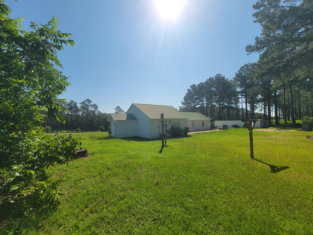 952 Easterlings Mill Road Ariton, AL 36311 - Photo 7 of 29