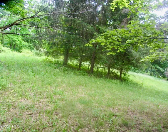 $90,000 | L23.2 Unionville Feura Bush Road, Feura Bush, NY 12067