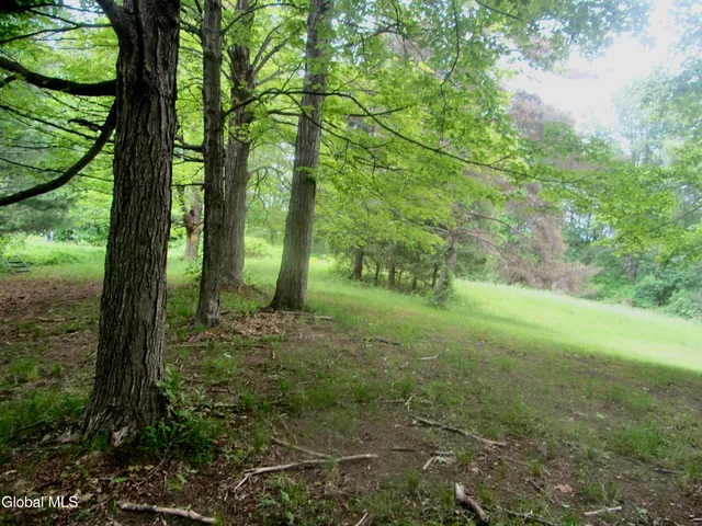 $90,000 | L23.2 Unionville Feura Bush Road, Feura Bush, NY 12067