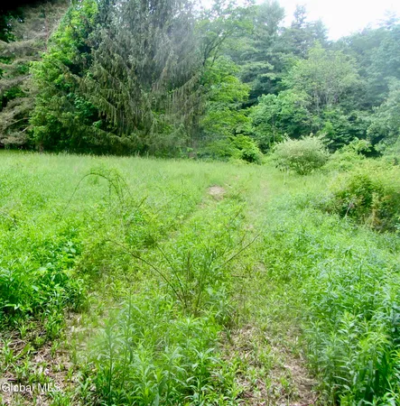 $90,000 | L23.2 Unionville Feura Bush Road, Feura Bush, NY 12067