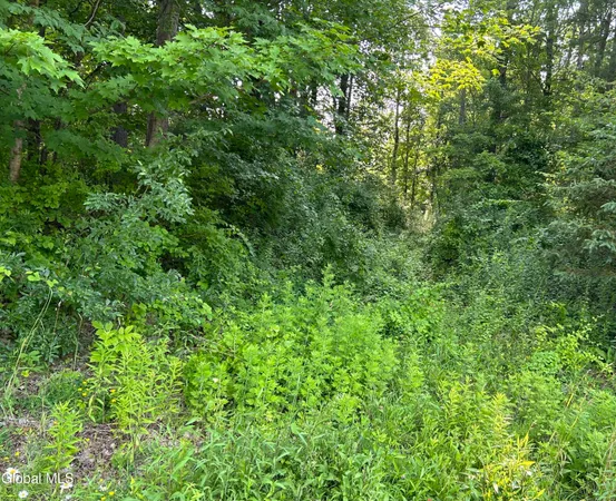 $90,000 | L23.2 Unionville Feura Bush Road, Feura Bush, NY 12067