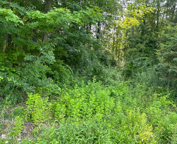 $90,000 | L23.2 Unionville Feura Bush Road, Feura Bush, NY 12067