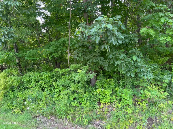 $90,000 | L23.2 Unionville Feura Bush Road, Feura Bush, NY 12067