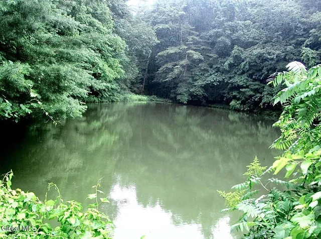 $90,000 | L23.2 Unionville Feura Bush Road, Feura Bush, NY 12067