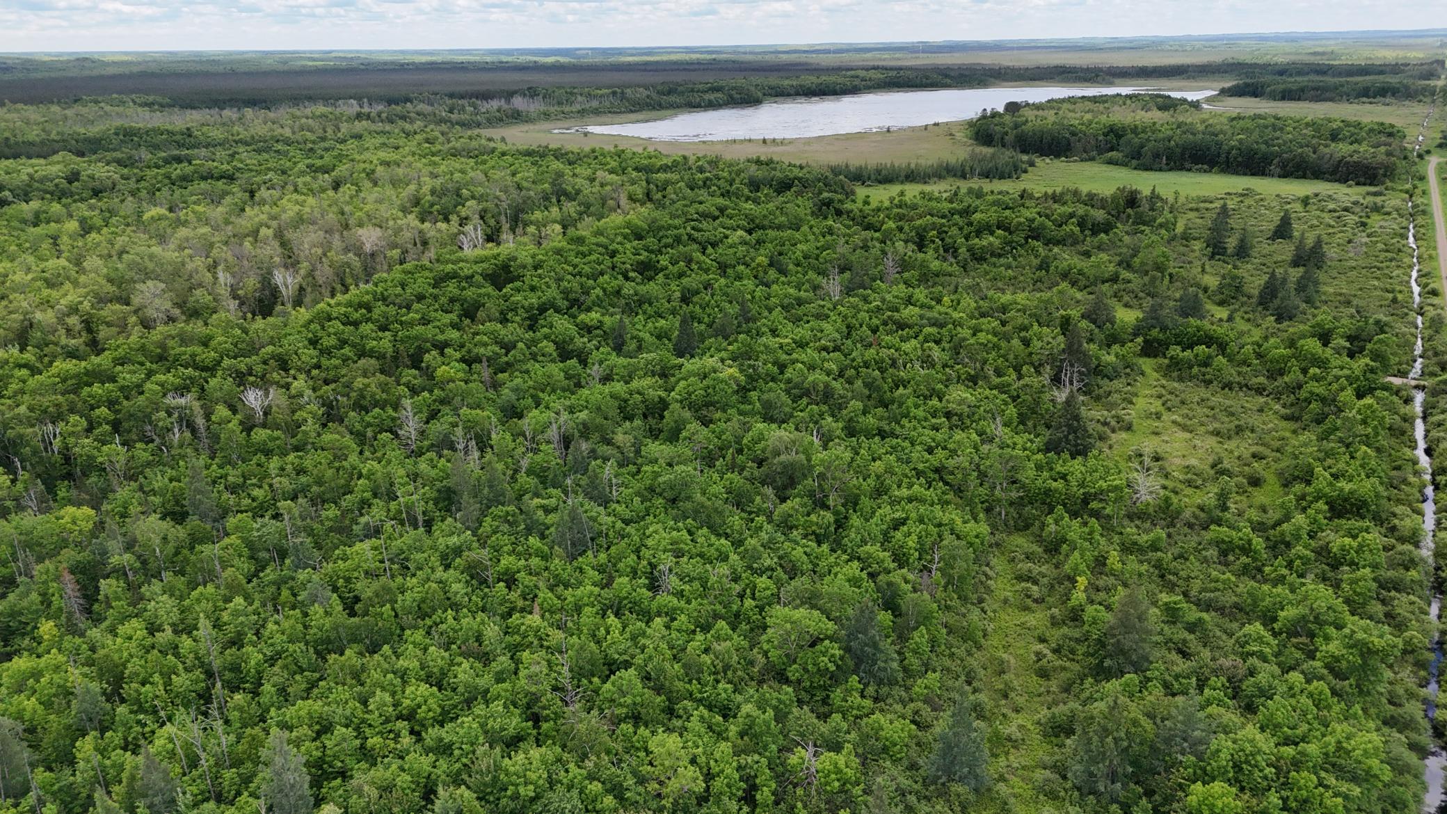 11840 Rice Haven Road Floodwood, MN 55736 - Photo 14 of 27