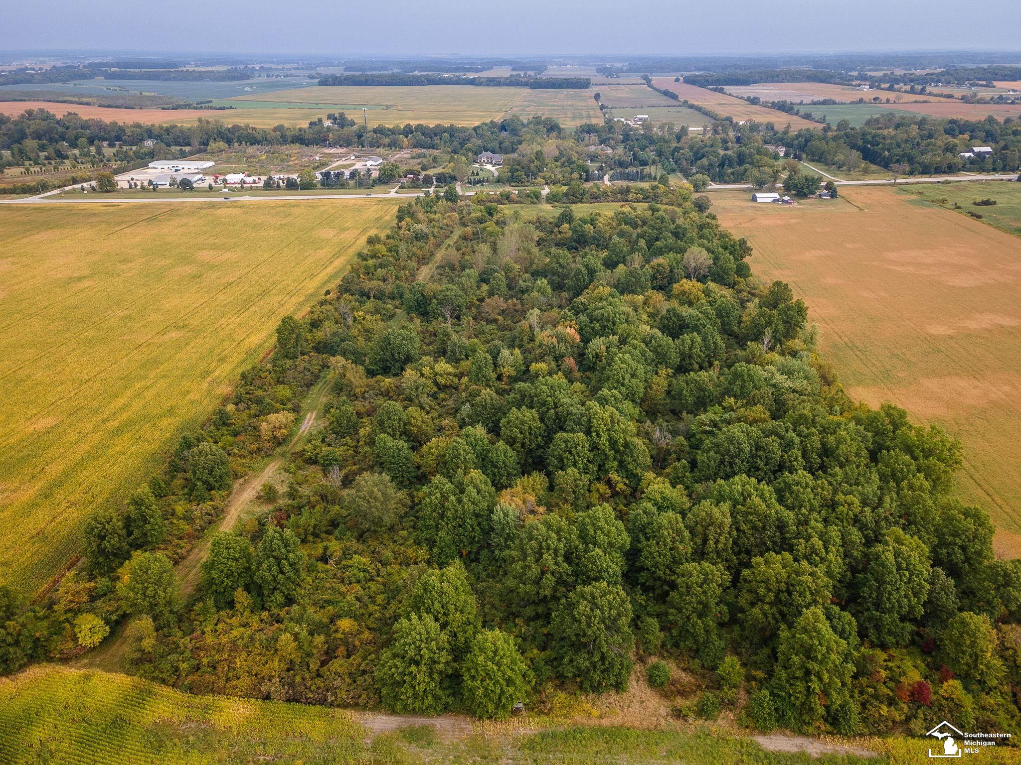 4555 South Custer Road Monroe, MI 48161 - Photo 12 of 18
