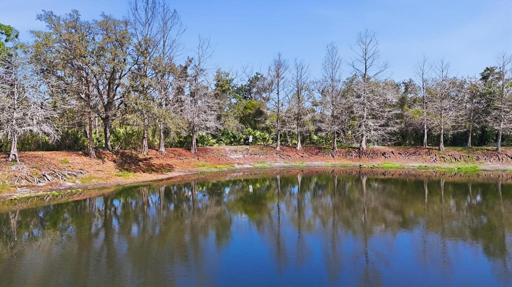 9038 White Sage Loop Lakewood Ranch, FL 34202 - Photo 40 of 52