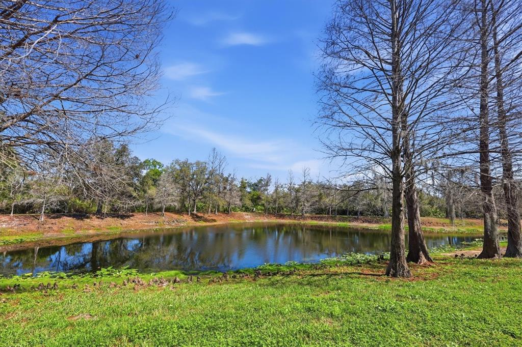 9038 White Sage Loop Lakewood Ranch, FL 34202 - Photo 5 of 52 a backyard of a house with lots of green space and lake view