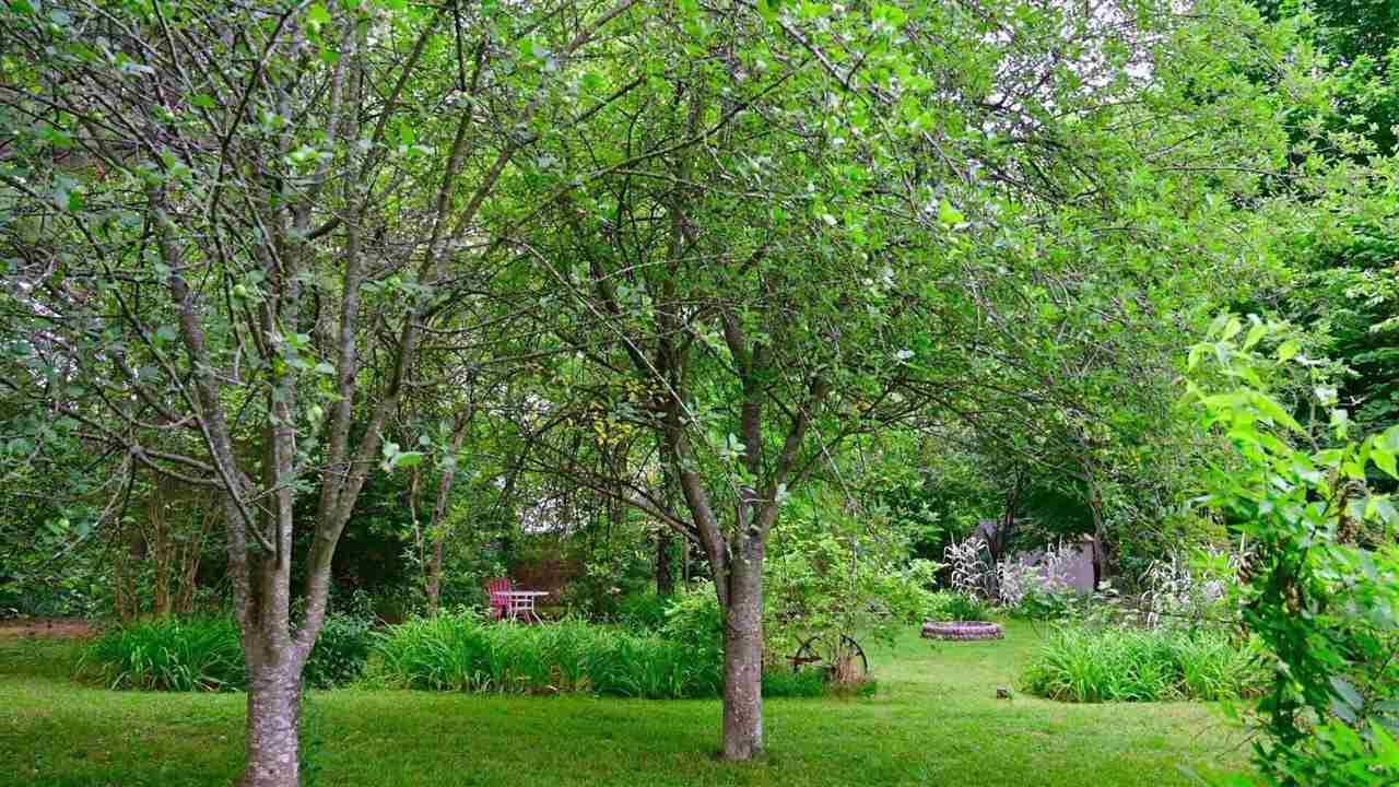 10395 Franklin Road Franklin, KY 42134 - Photo 23 of 24 Gallery Image 23