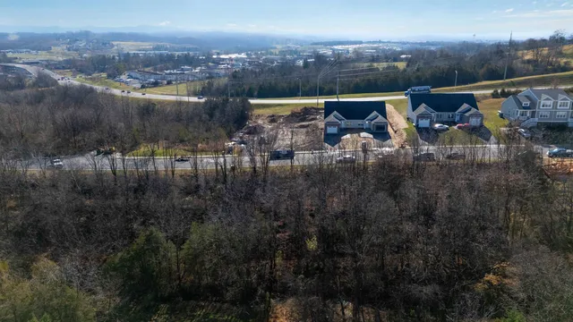 a view of a lake with a city