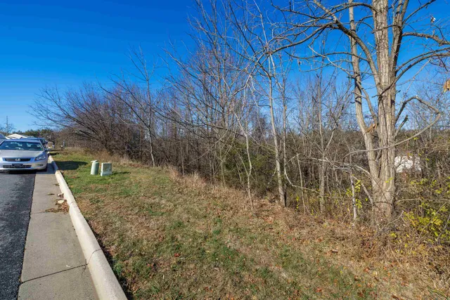 a view of backyard with green space