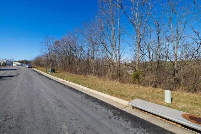 a view of a forest with trees
