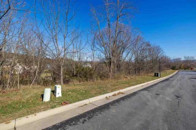 a view of a garden from a balcony