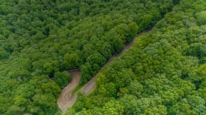 0 Henson Gap Road Cleveland, TN 37323 - Photo 19 of 21 a view of a lush green space