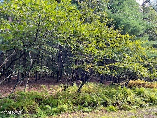 Lot 235 Hound Road Dingmans Ferry, PA 18328 - Photo 1 of 7