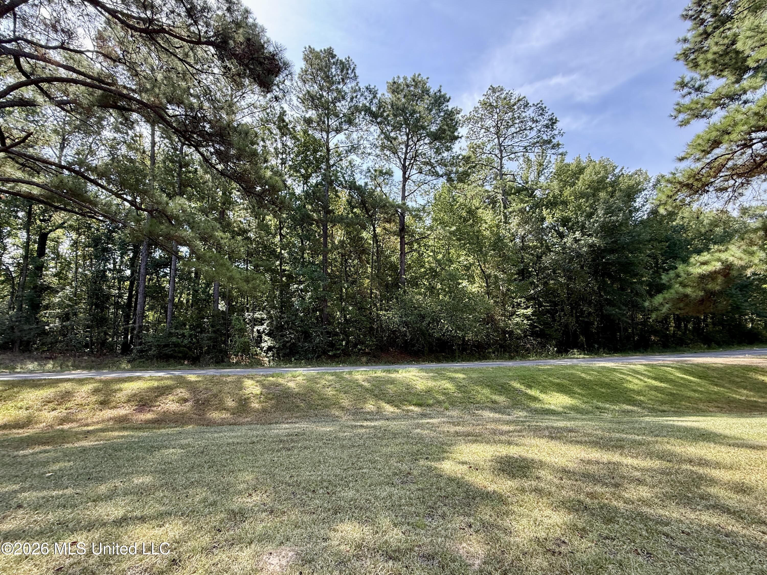 1840 White Apple Road Roxie, MS 39661 - Photo 28 of 35 IMG_5598