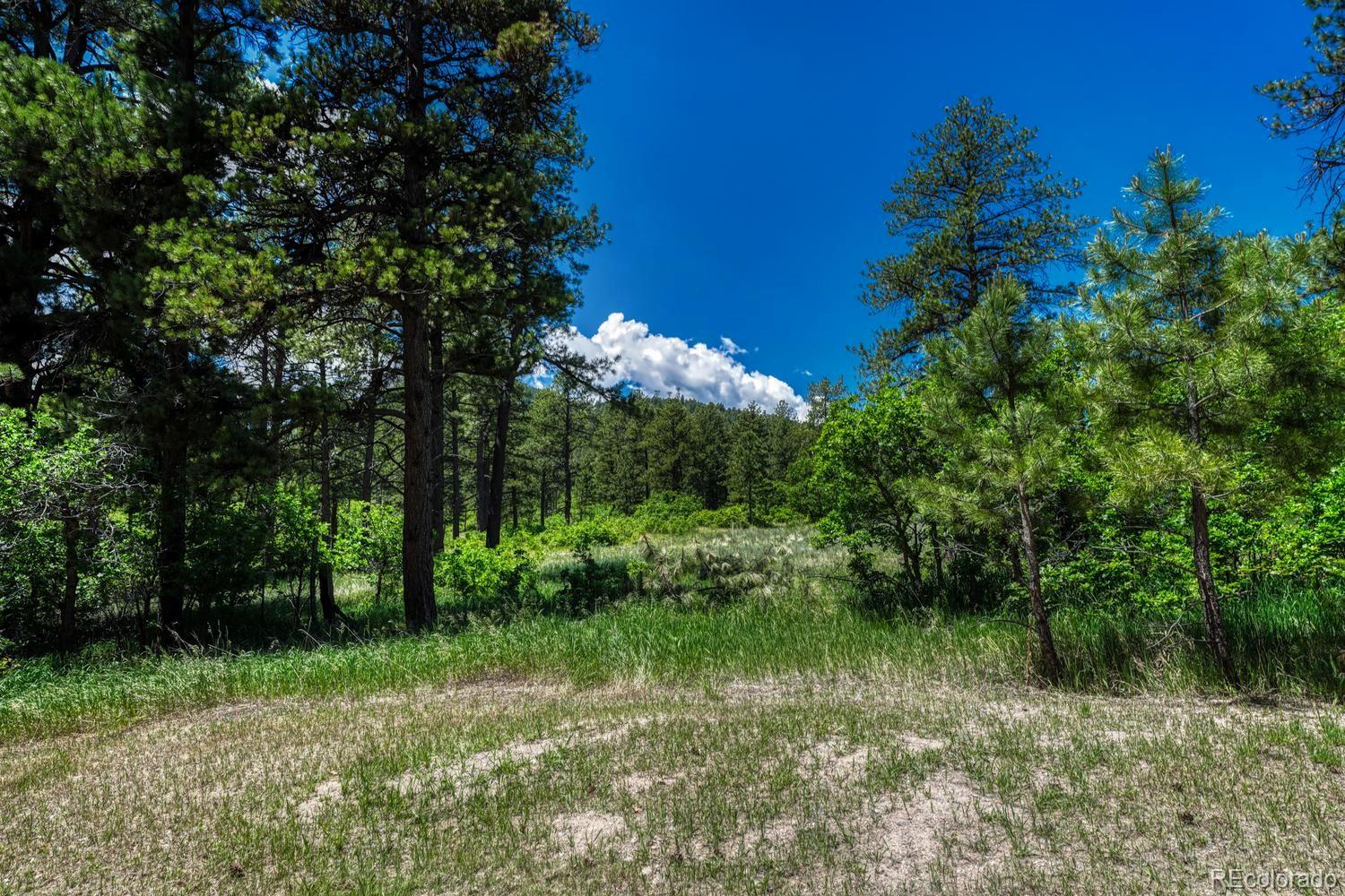 9306 South Curtis Road Larkspur, CO 80118 - Photo 47 of 50