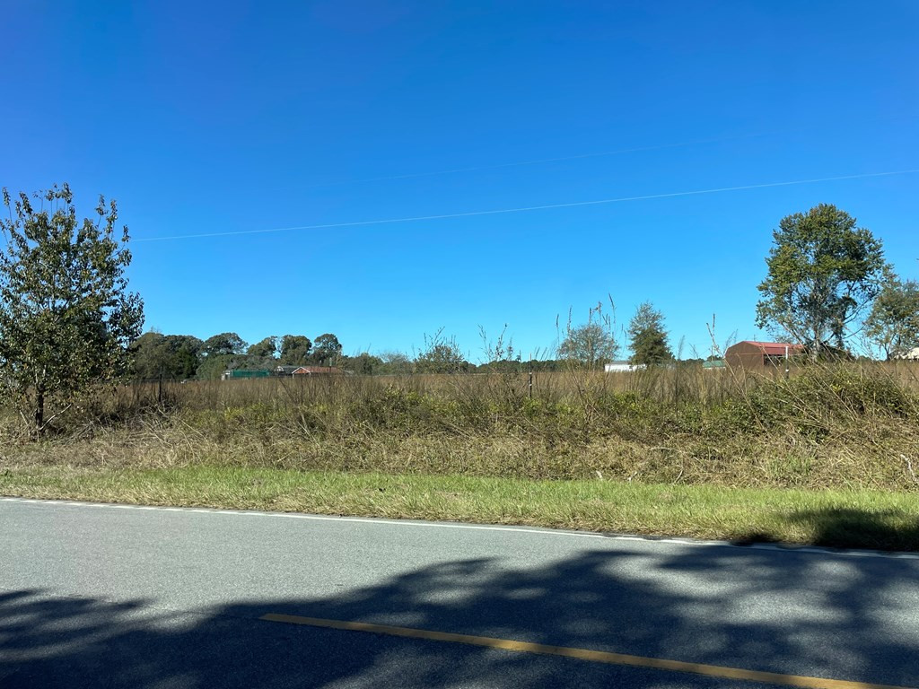 0 Georgia Pacific Road Alcolu, SC 29001 - Photo 4 of 4