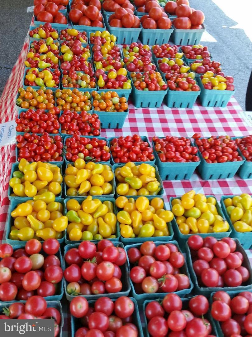 236 Farragut Street Northwest, Unit H203 Washington, DC 20011 - Photo 27 of 30 a bunch of flowers and fruits