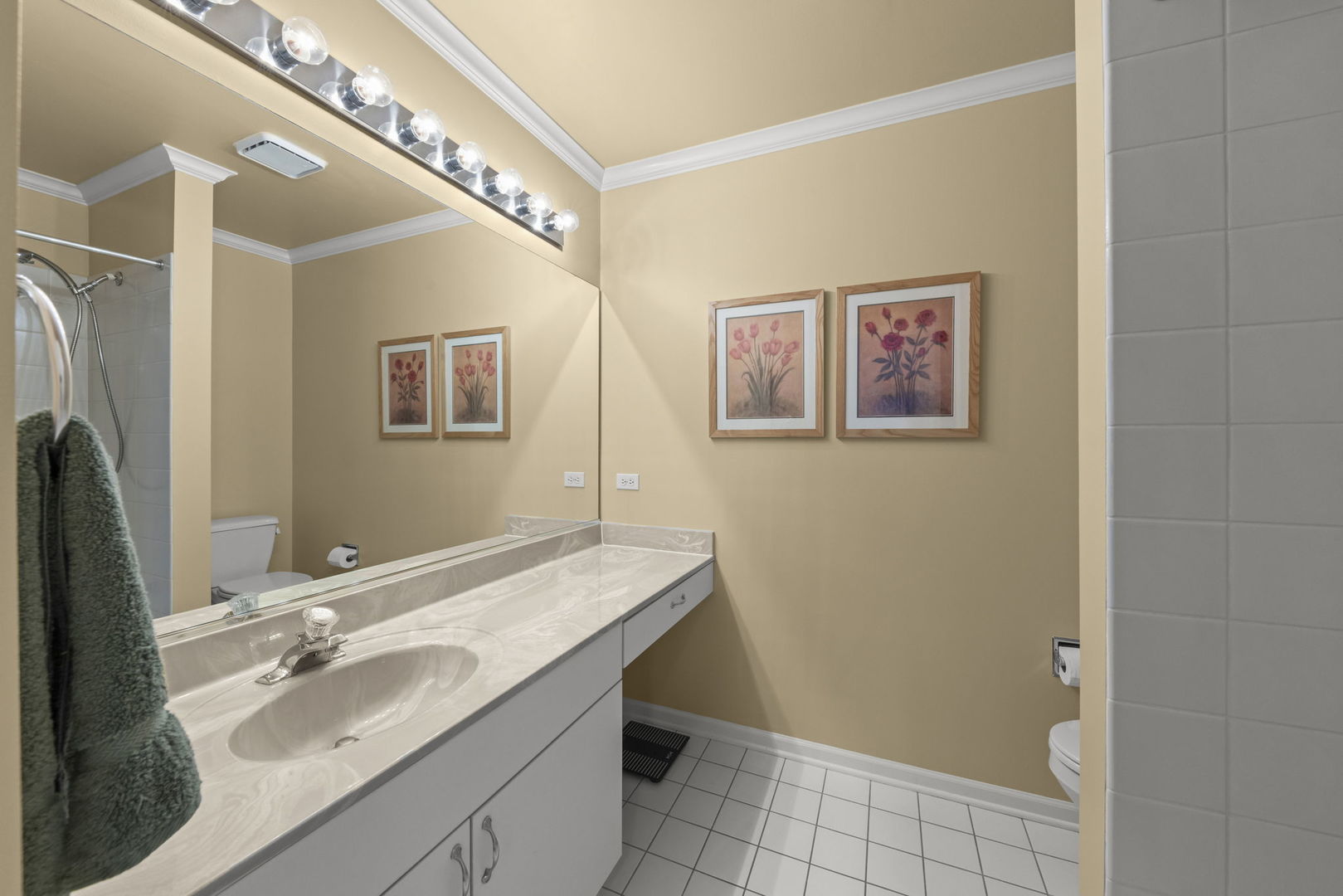 320 Cimarron Road East Lombard, IL 60148 - Photo 16 of 36 Gallery Image 16