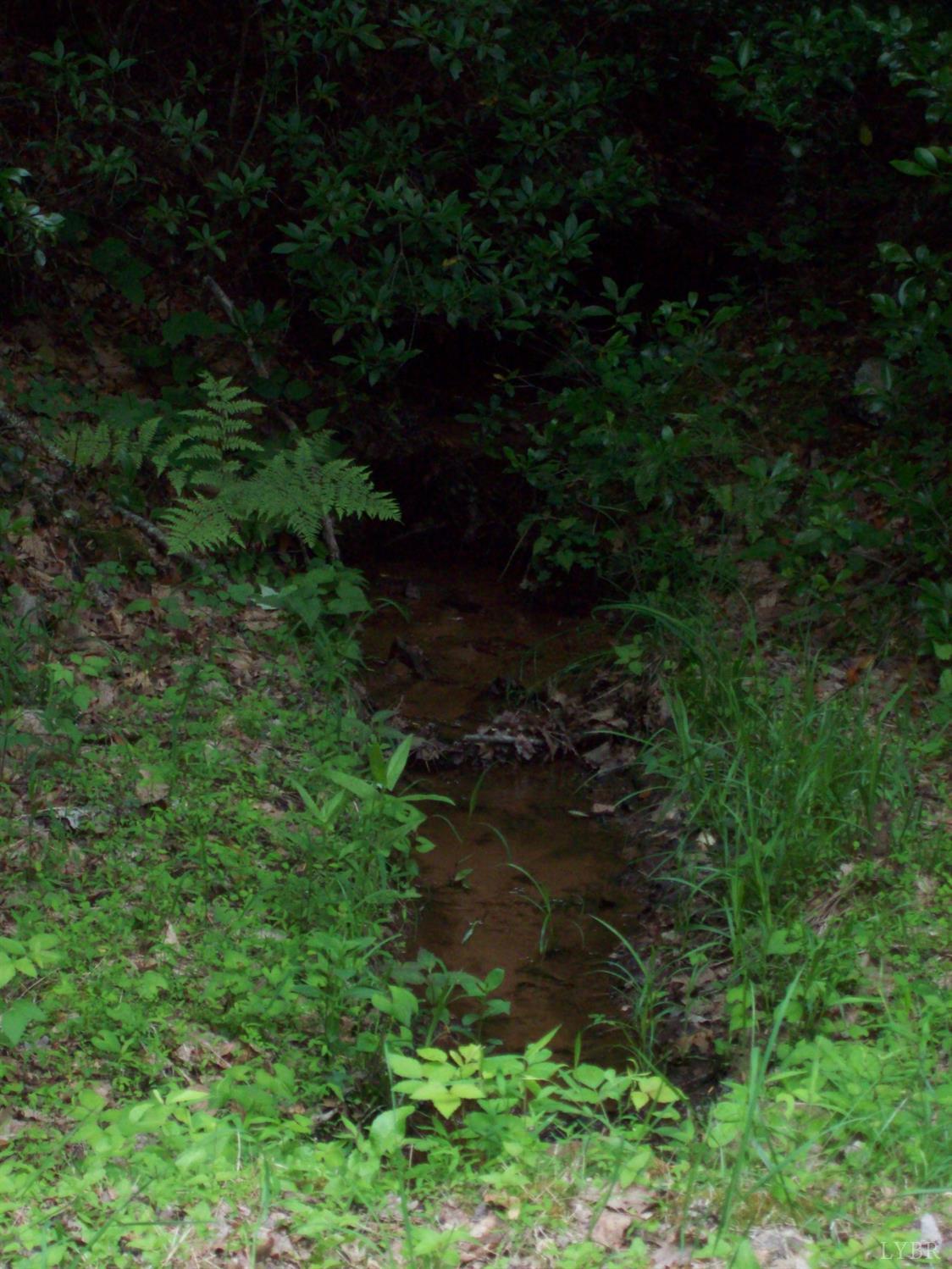 2 Laurel Hollow Road Vesuvius, VA 24483 - Photo 12 of 19 Gallery Image 12