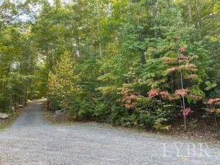 2 Laurel Hollow Road Vesuvius, VA 24483 - Photo 2 of 19 Gallery Image 2