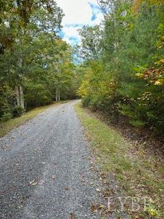 2 Laurel Hollow Road Vesuvius, VA 24483 - Photo 3 of 19 Gallery Image 3