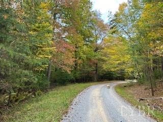 2 Laurel Hollow Road Vesuvius, VA 24483 - Photo 5 of 19 Gallery Image 5