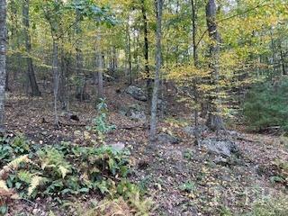 2 Laurel Hollow Road Vesuvius, VA 24483 - Photo 6 of 19 Gallery Image 6