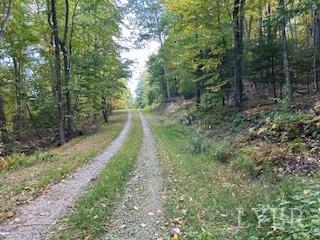 2 Laurel Hollow Road Vesuvius, VA 24483 - Photo 7 of 19 Gallery Image 7
