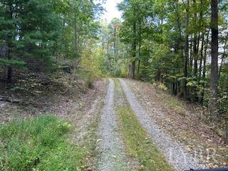 2 Laurel Hollow Road Vesuvius, VA 24483 - Photo 8 of 19 Gallery Image 8