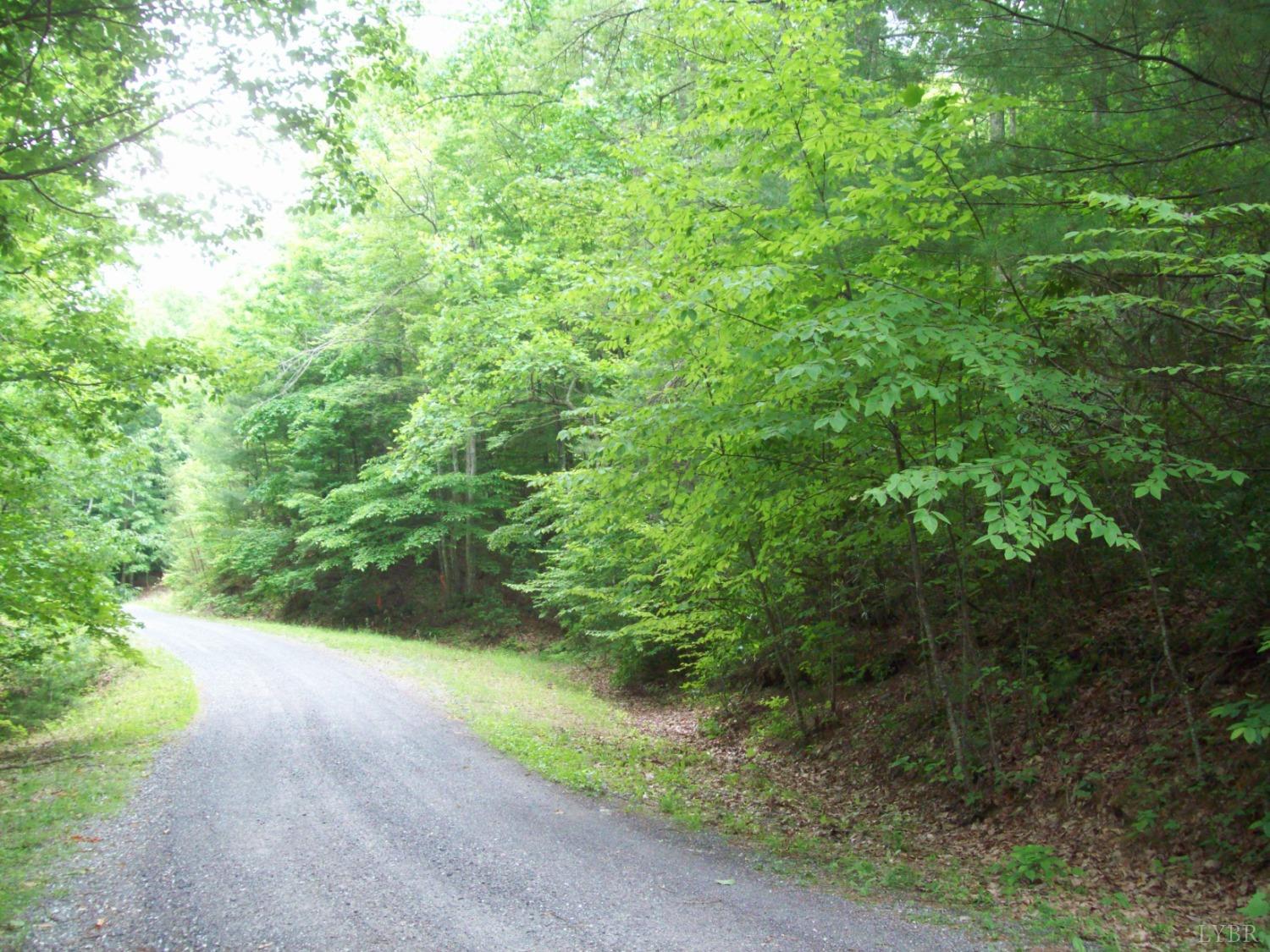 2 Laurel Hollow Road Vesuvius, VA 24483 - Photo 9 of 19 Gallery Image 9