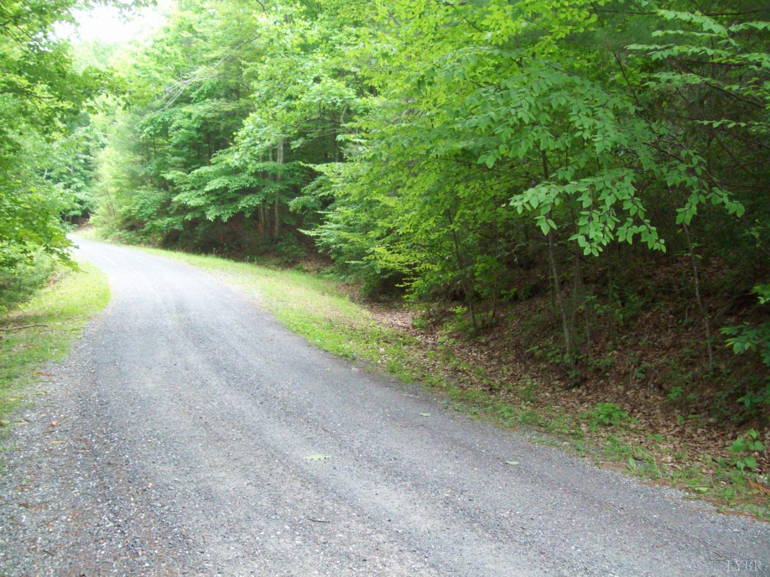 2 Laurel Hollow Road Vesuvius, VA 24483 - Photo 10 of 19 Gallery Image 10
