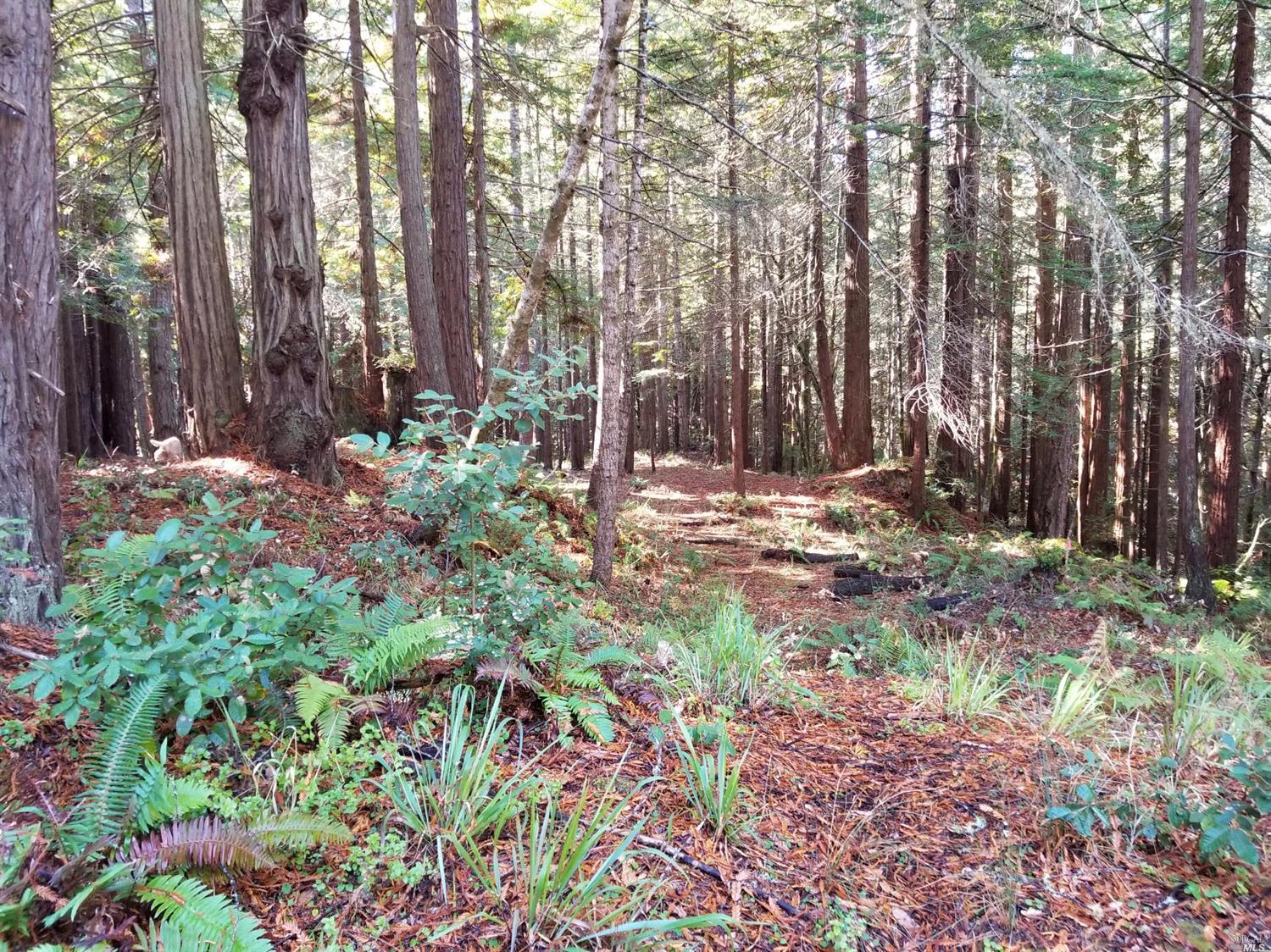 22148 Ruoff Road Timber Cove, CA 95450 - Photo 1 of 1 Gallery Image 1