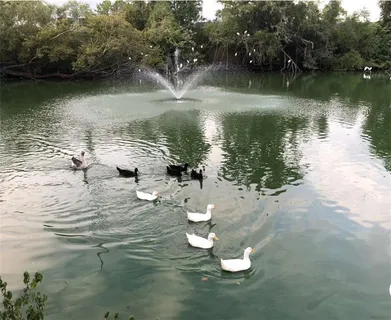 $950,000 | 6 Mary Ridge Court, River Ridge, LA 70123