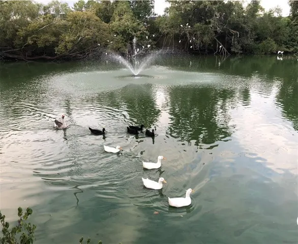 $950,000 | 6 Mary Ridge Court, River Ridge, LA 70123