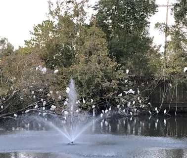 $950,000 | 6 Mary Ridge Court, River Ridge, LA 70123