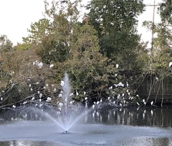 $950,000 | 6 Mary Ridge Court, River Ridge, LA 70123