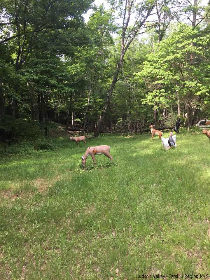 Spillway Road West Hurley, NY 12491 - Photo 11 of 13 Photo 11
