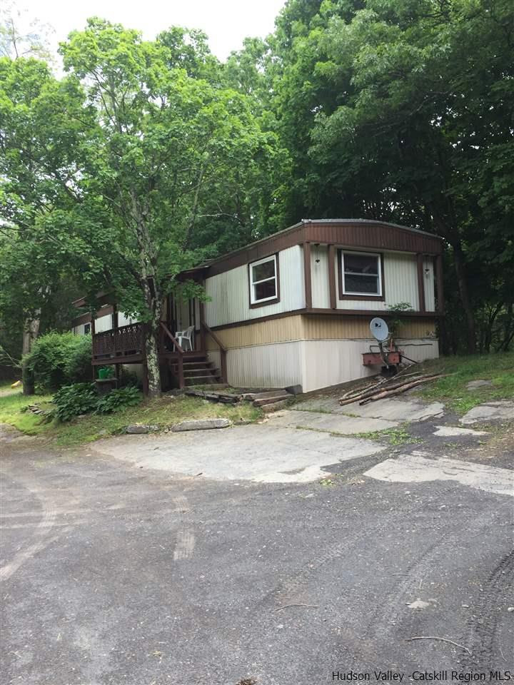 Spillway Road West Hurley, NY 12491 - Photo 4 of 13 Photo 4