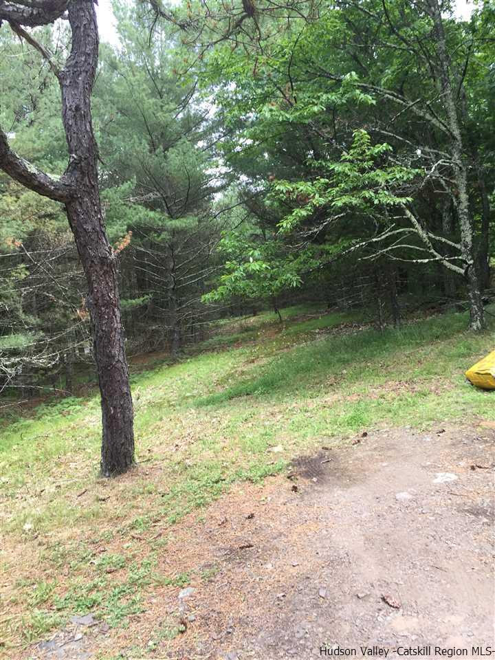 Spillway Road West Hurley, NY 12491 - Photo 8 of 13 Photo 8