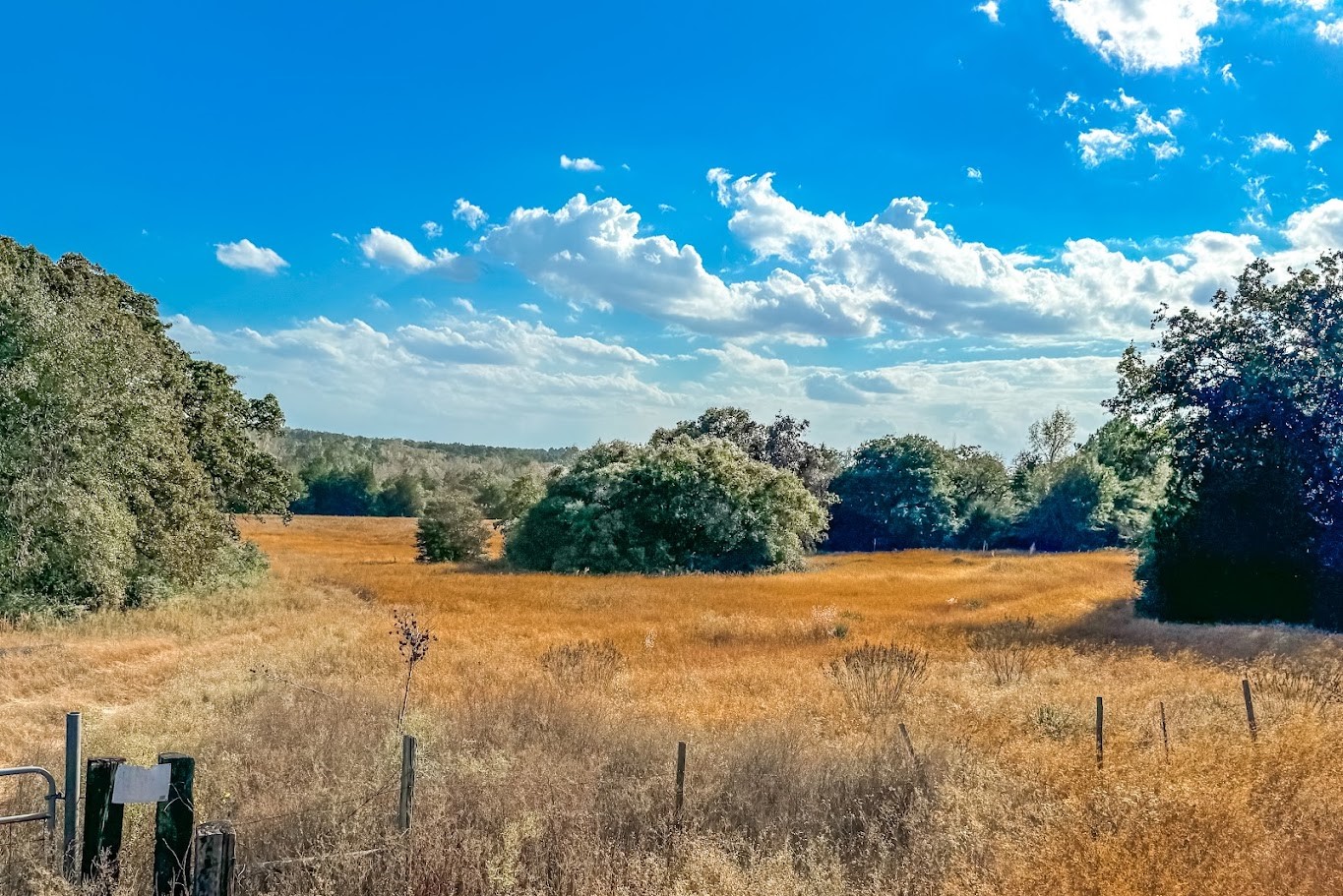 0 County Road 237 Oakwood, TX 75855 - Photo 1 of 11 a view of an outdoor space and a yard