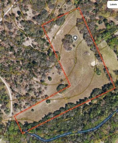 an aerial view of a house with a yard and large trees