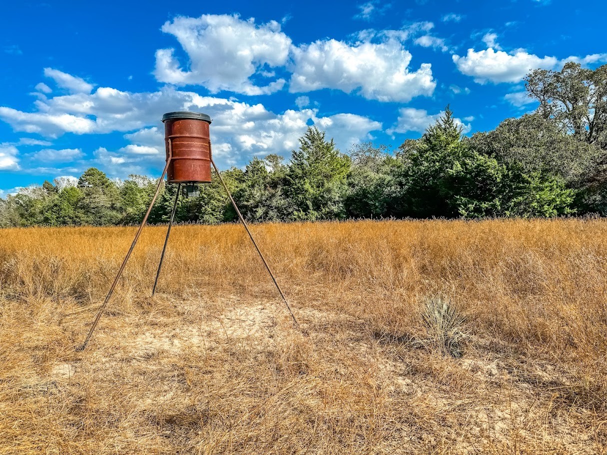 0 County Road 237 Oakwood, TX 75855 - Photo 2 of 11 a house view with a street