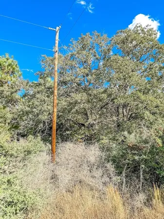 a view of a room with a tree