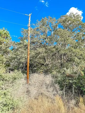 a view of a room with a tree