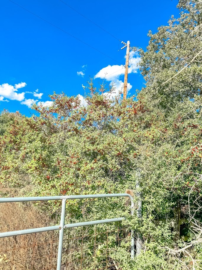 0 County Road 237 Oakwood, TX 75855 - Photo 5 of 11 a bathroom with a sink