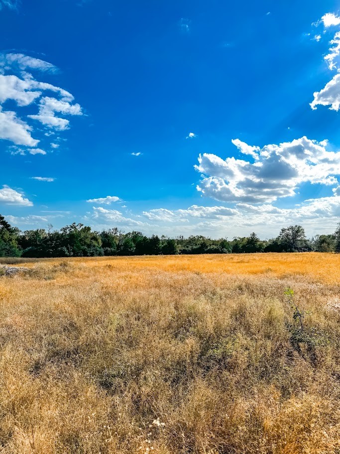 0 County Road 237 Oakwood, TX 75855 - Photo 7 of 11 a view of an ocean